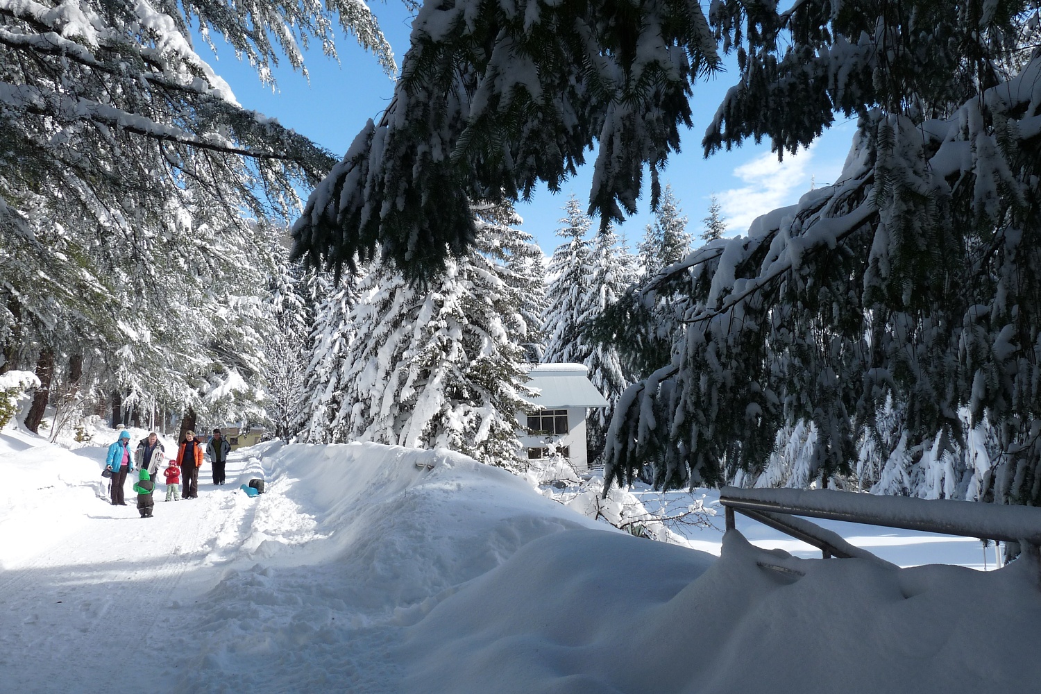 На базе отдыха "Красная поляна" горнолыжный сезон в самом разгаре, успейте забронировать путевку (больше информации по ссылке)