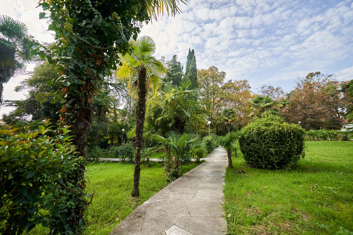 Сочи без очередей: почему опытные туристы едут к нам именно в «низкий» сезон?