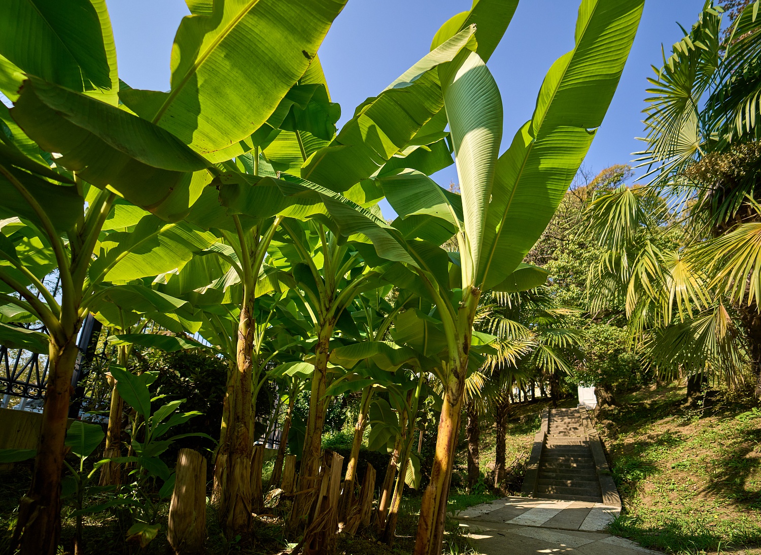 Сочи без очередей: почему опытные туристы едут к нам именно в «низкий» сезон?