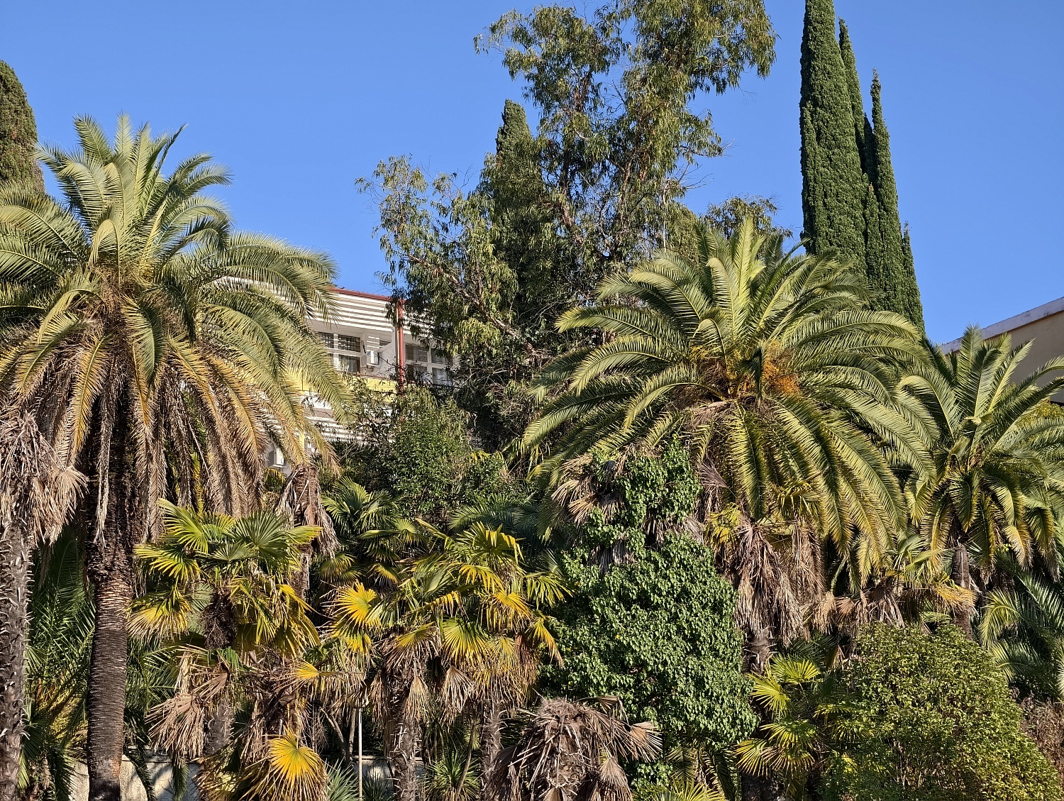 Сочи без очередей: почему опытные туристы едут к нам именно в «низкий» сезон?